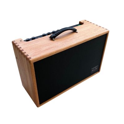 Beare Amplifiers Extra Reverb 40W 1x12 Combo Guitar Amplifier