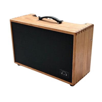 Beare Amplifiers Essential Reverb 20W 1x12 Combo Guitar Amplifier