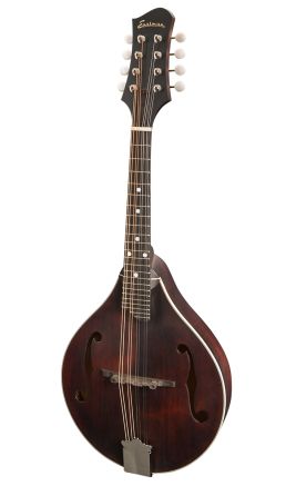 Eastman A Style Mandolin with F Holes