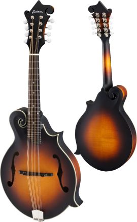 Eastman Mandola with Pickup in Sunburst