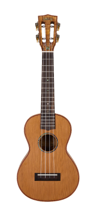 Mahalo MM2 All Solid Acoustic Concert Ukulele